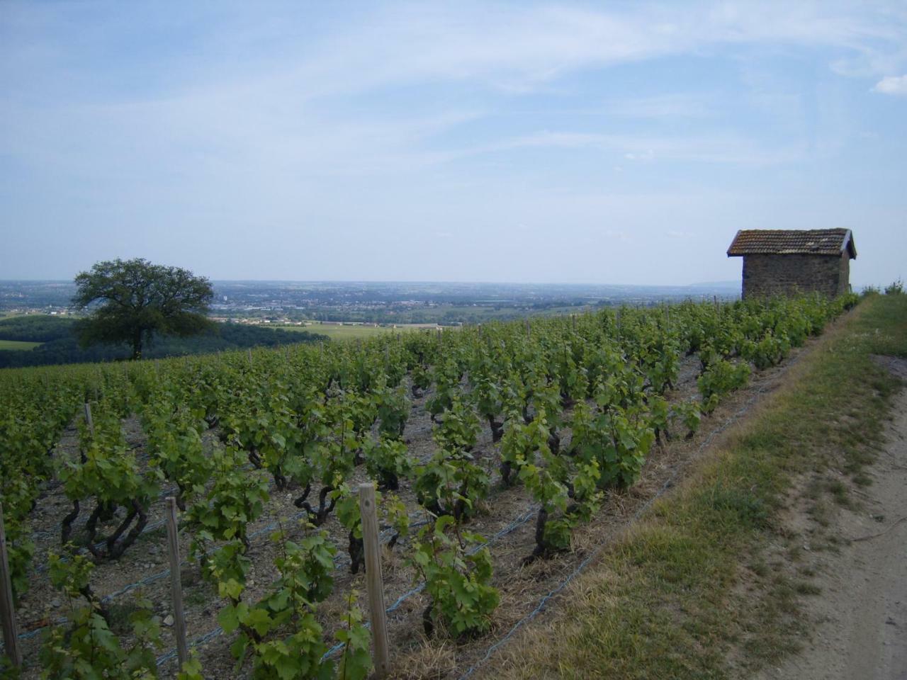 Le Chene Du Py Landhaus